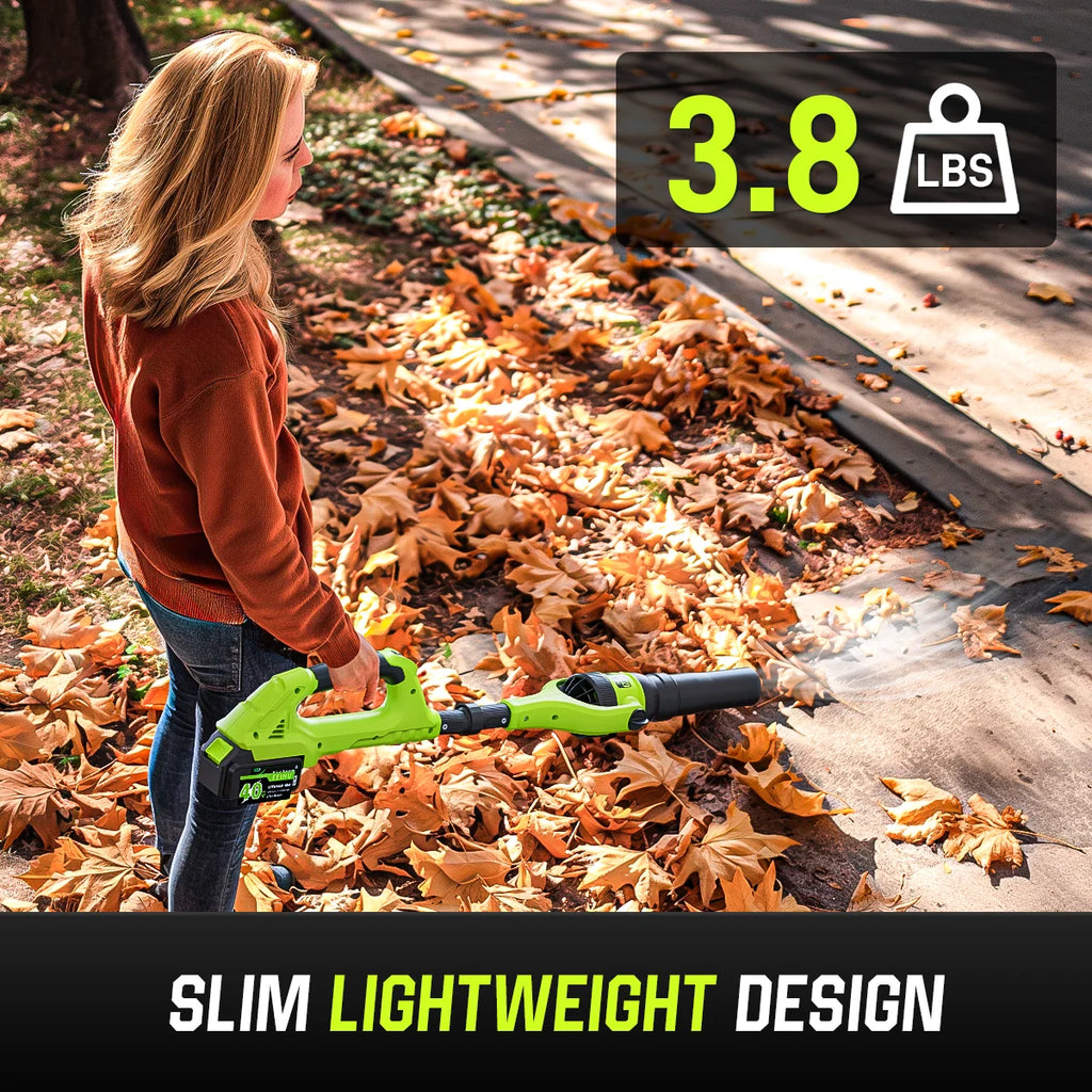 Feihu 40V Cordless Brushless Leaf Blower with 2 Batteries & Charger, 580CFM 2-Speed Electric Blower for Garden Home