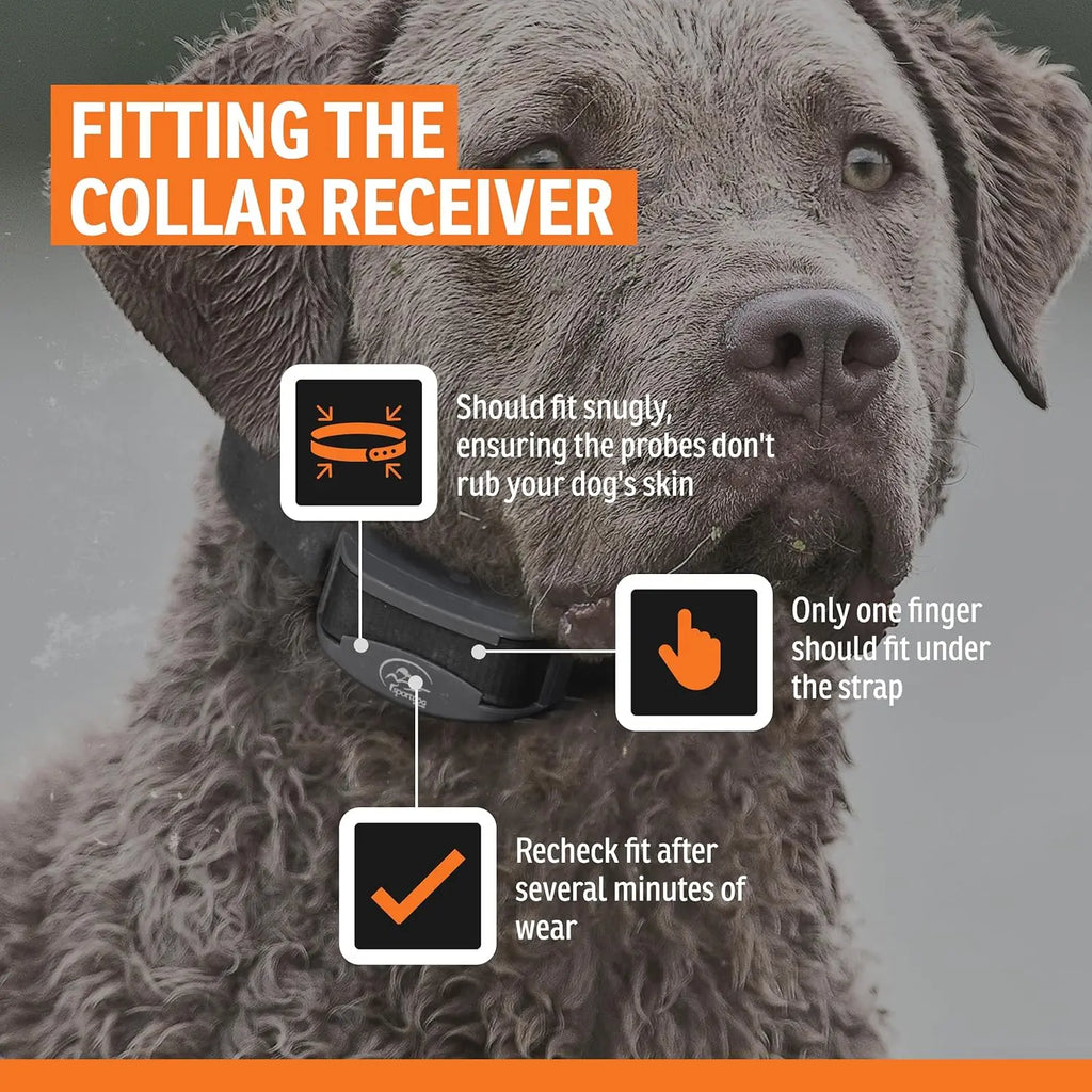 Rechargeable Programmable Dog Bark Collar with Silent Technology, Waterproof & Two Modes for Training