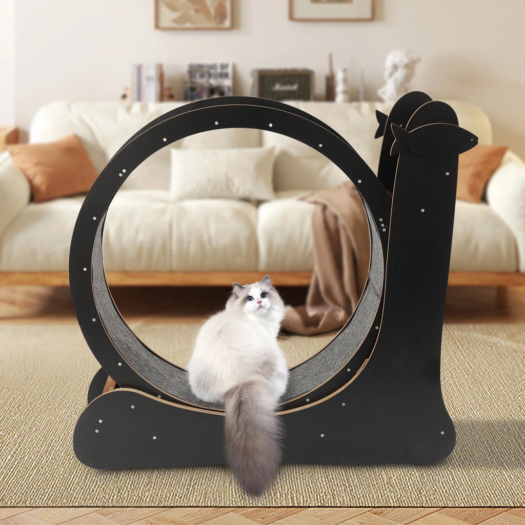 Cat Exercise Treadmill with Carpeted Runway, Safe Lock&Noise Reduction, Snail-Shaped Black Pet Fitness Toy for Cats Up to 33lbs