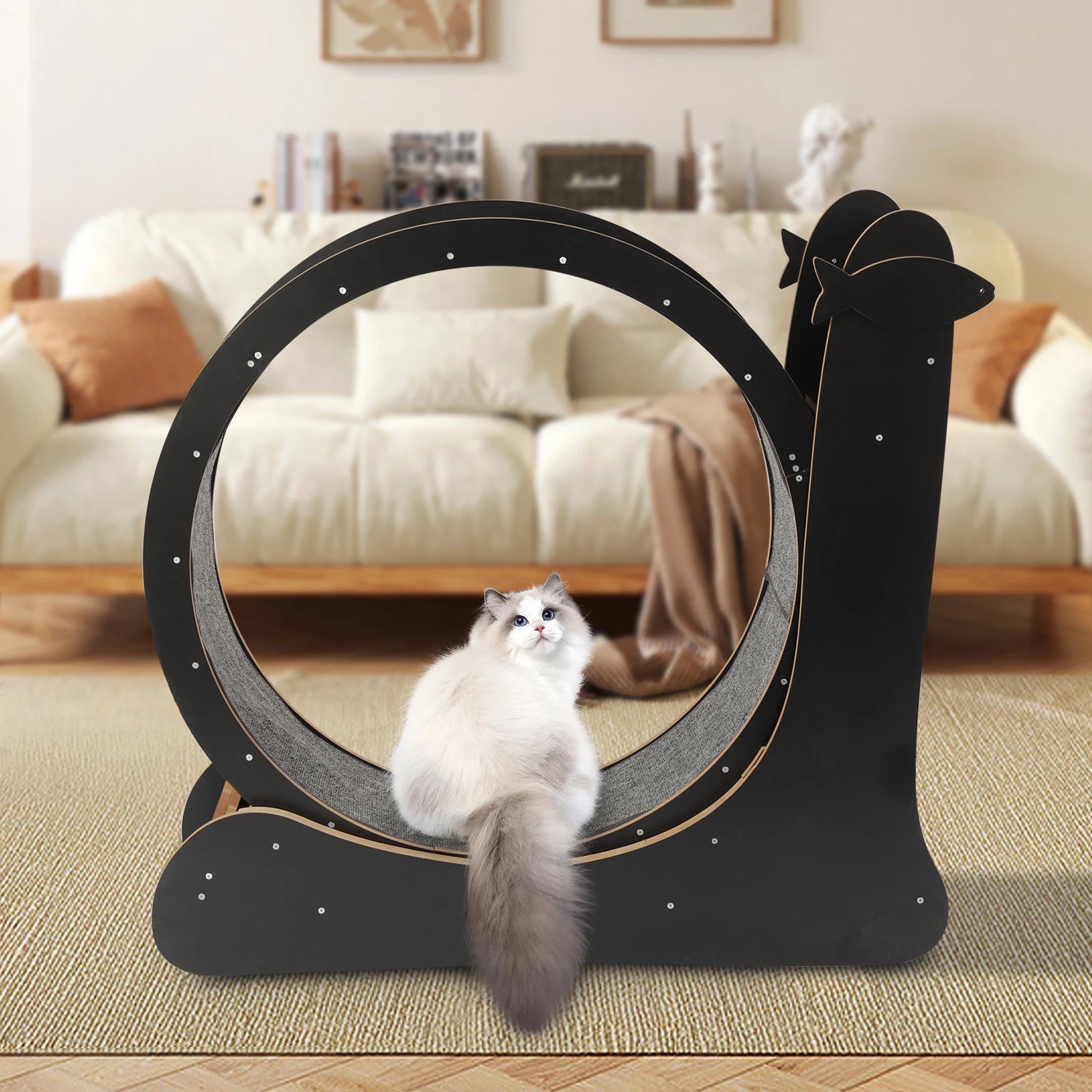 Cat Exercise Treadmill with Carpeted Runway, Safe Lock&Noise Reduction, Snail-Shaped Black Pet Fitness Toy for Cats Up to 33lbs