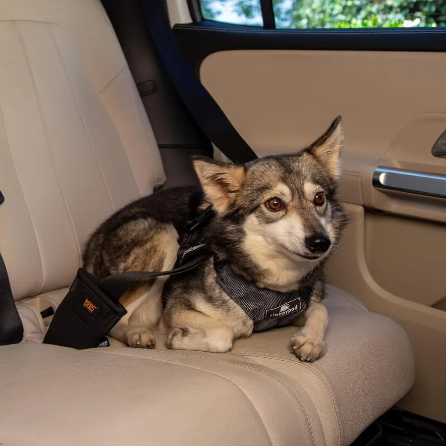 Clickit Sport Plus Crash-Tested and Safety Certified Car Seat Belt Harness for Dogs in Extra Large Size Ideal for Secure Travel