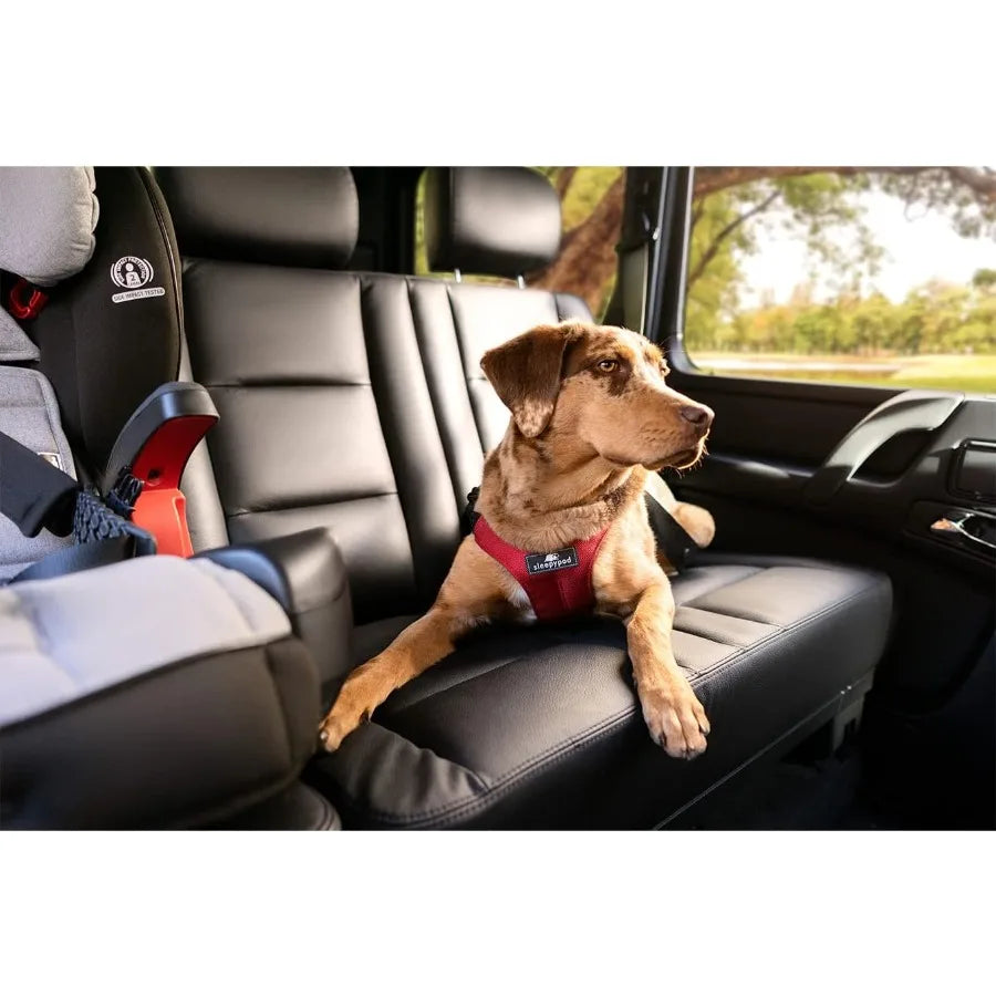 Clickit Sport Plus Car Seat Belt Harness for Dogs - Crash-Tested and Safety Certified Ideal for Traveling Walking and Outdoor A