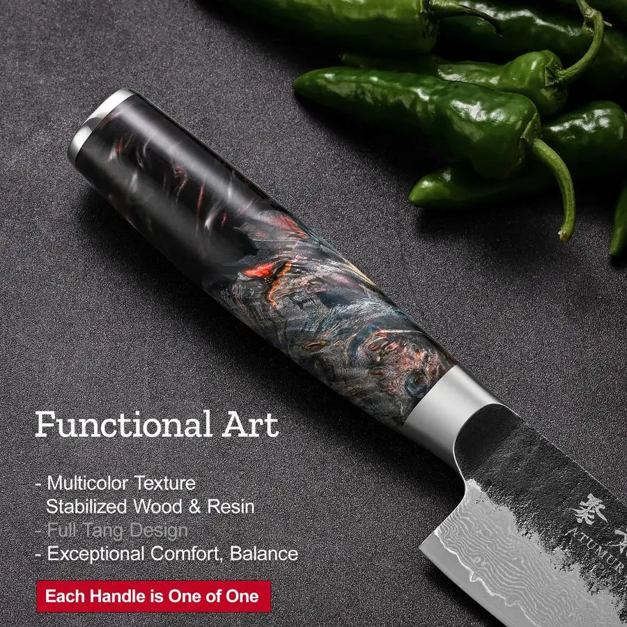 Chef Knife, 8 Inch Damascus Kitchen Knife with VG10 Steel Core, Professional Black Forged Kitchen Knives with Ergonomic Handle,