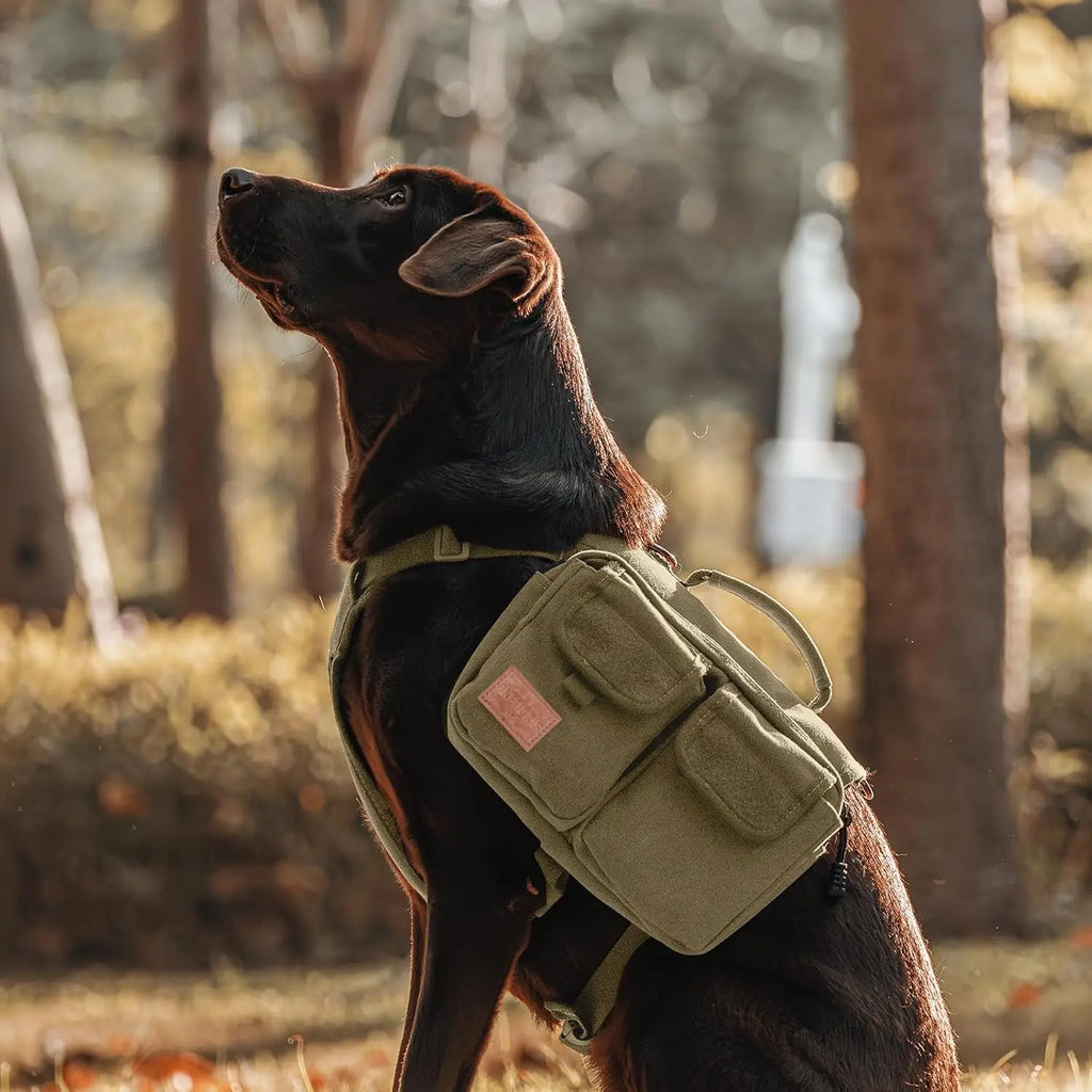Dog Hiking Backpack, Dog Pack for Medium Large Dogs, Hoppy Camper 3.0 Dog Saddle Bag Harness Outdoor Hiking (L, Brown)