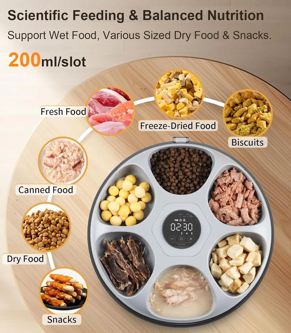 Automatic Pet Feeder for Wet and Dry Food with Ice Packs, Programmable Timer, Rechargeable Battery, Low Battery Indicator