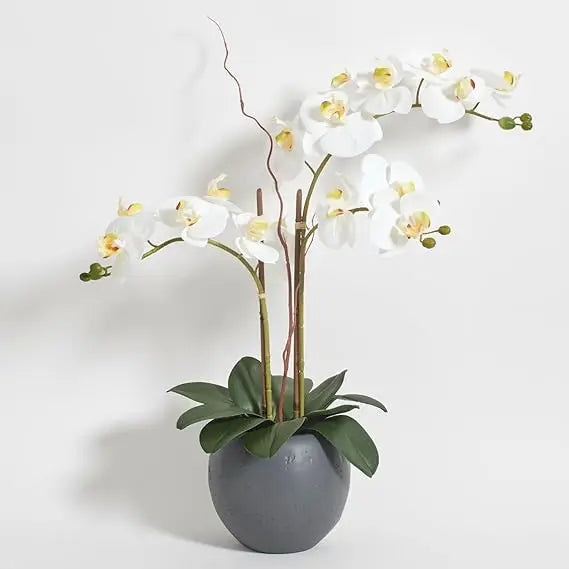 Hunter Faux White Orchid Plant, Premium Artificial Indoor Flower Display Stands 25-Inches with Beautiful Sculptural Blooms
