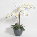 Hunter Faux White Orchid Plant, Premium Artificial Indoor Flower Display Stands 25-Inches with Beautiful Sculptural Blooms