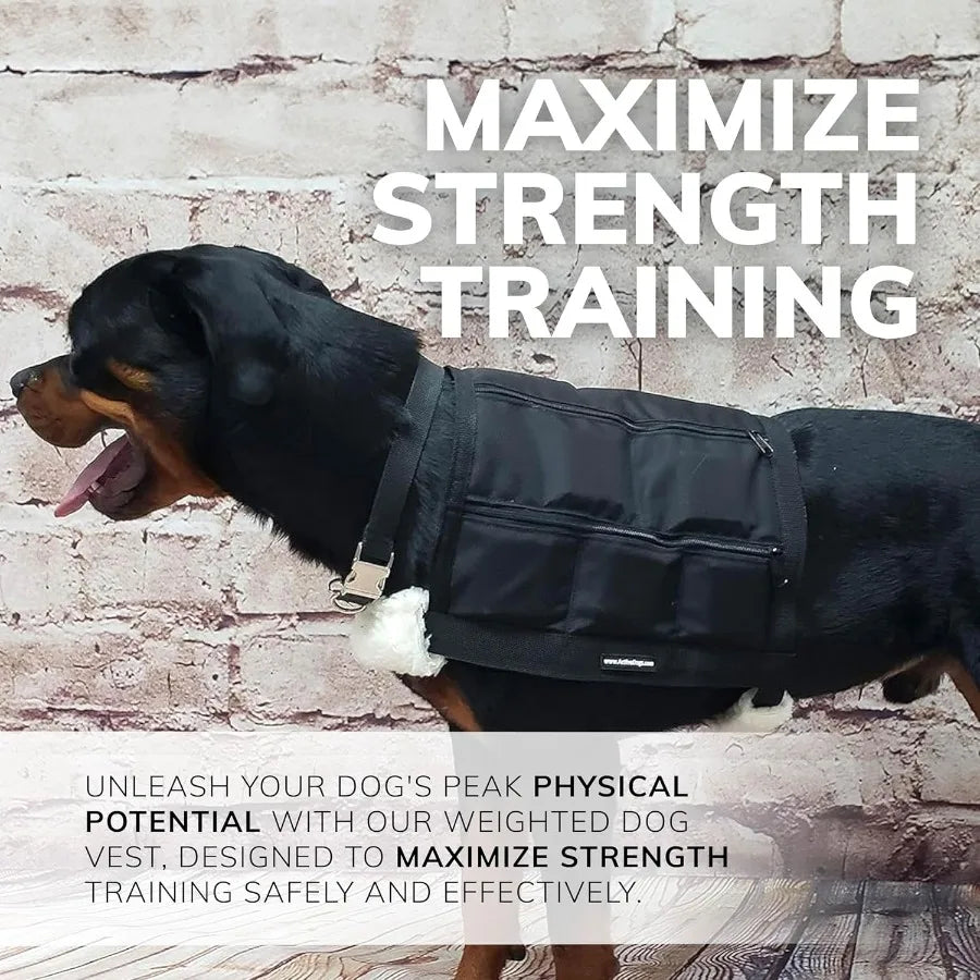 ActiveDogs Weighted Dog Vest with Weights for Agility Training and Exercise - Enhances Strength Pulling Power and Endurance - I