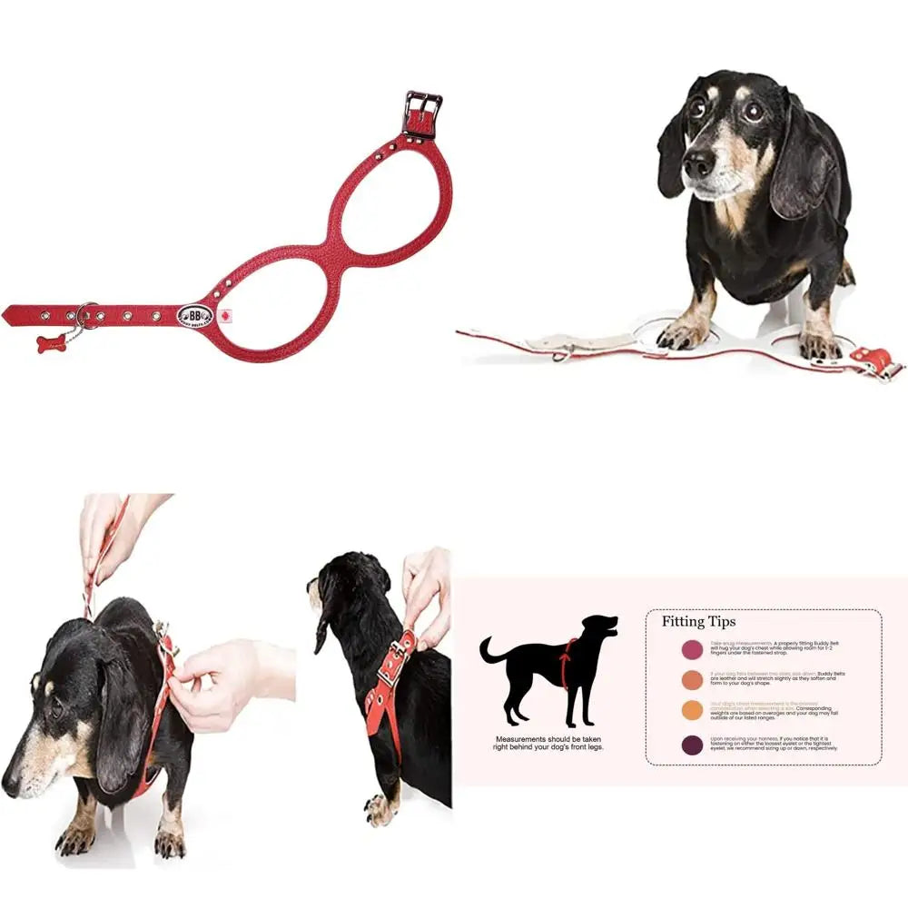 Premium Red Pebble Grain Dog Harness - High-Quality Edition, Comfortable and Durable for Pets