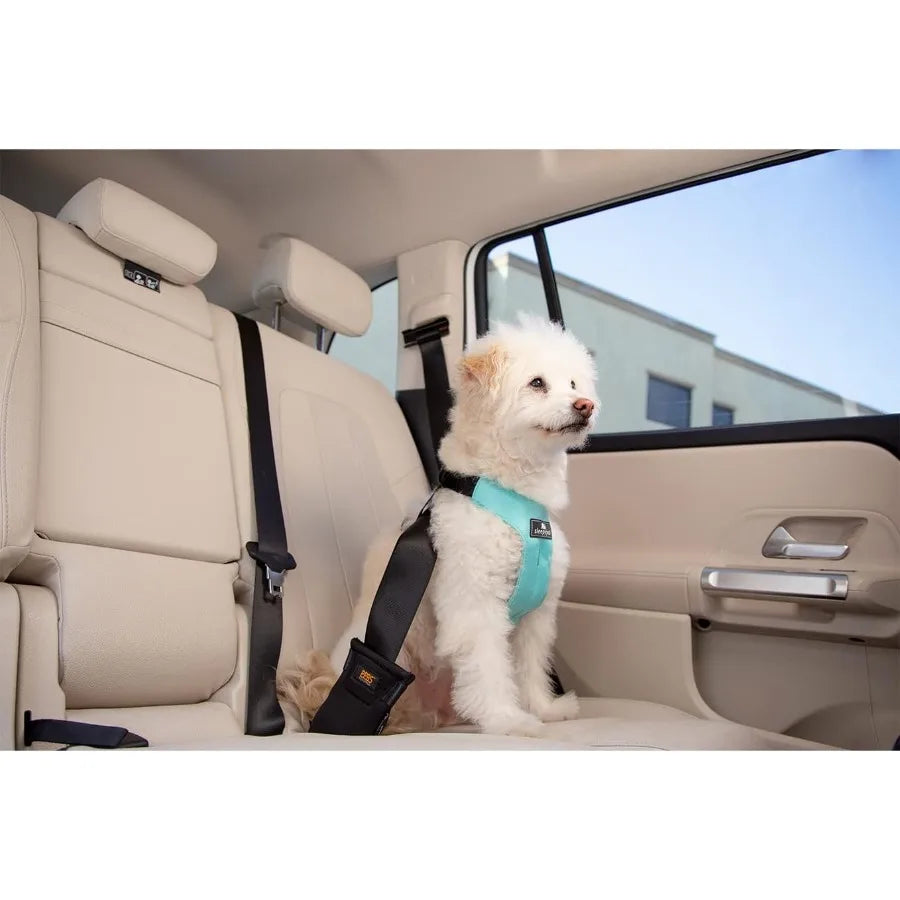 Clickit Sport Plus Crash-Tested and Safety Certified Car Seat Belt Harness for Dogs in Extra Large Size Ideal for Secure Travel