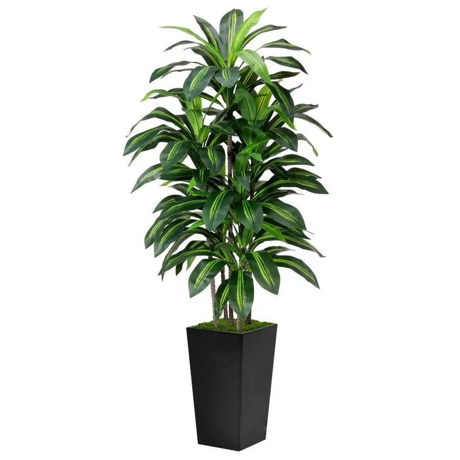 Dracaena Tree 5FT Fake Tree with Black Tall Planter Faux Yucca Tall Fake Floor Plant in Pot Artificial Plant for Home Office Liv