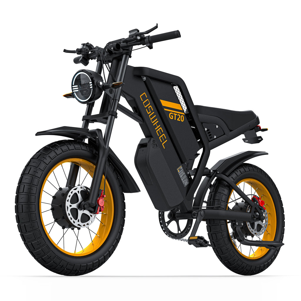 Dual Motor Electric Bike 48v Peak 3000w Motor E Bike Fat Tire Motorcycle Ebike