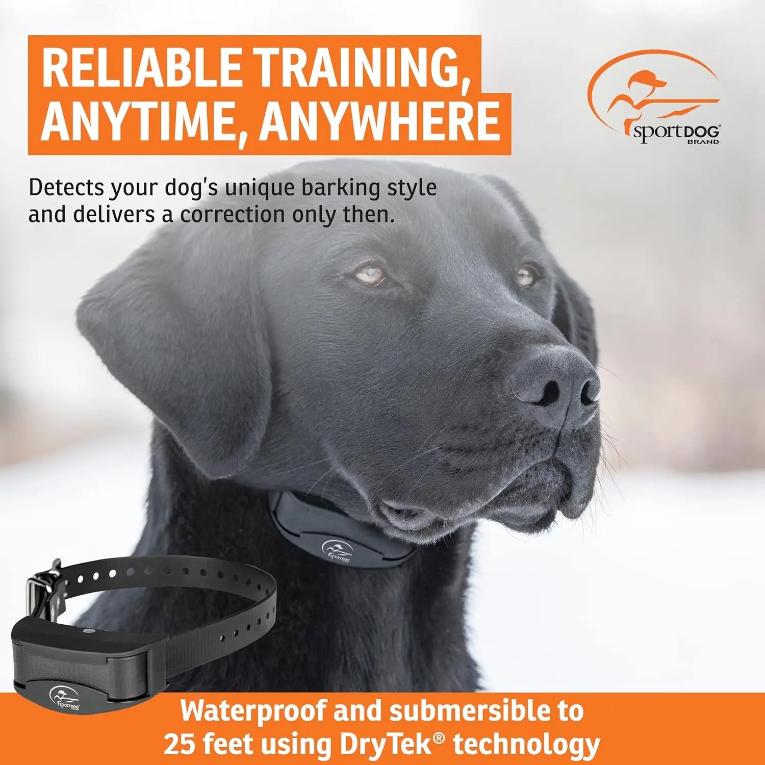 Rechargeable Programmable Dog Bark Collar with Silent Technology, Waterproof & Two Modes for Training