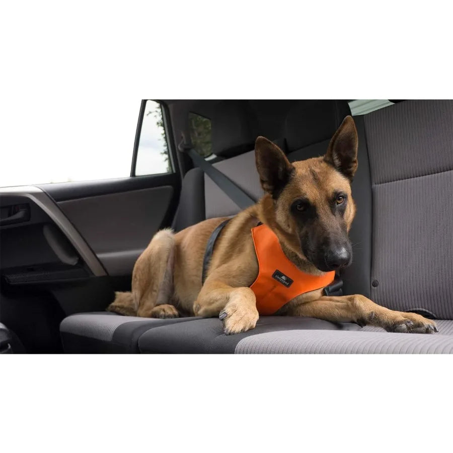 Clickit Sport Plus Car Seat Belt Harness for Dogs - Crash-Tested and Safety Certified Ideal for Traveling Walking and Outdoor A