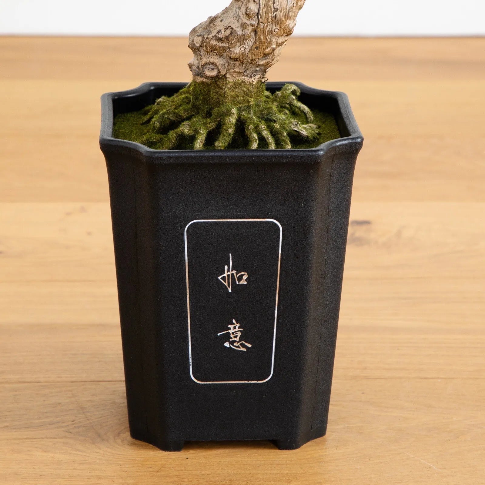 30" Artificial Cedar Bonsai Tree w/517 Lvs in Square Black Vase.