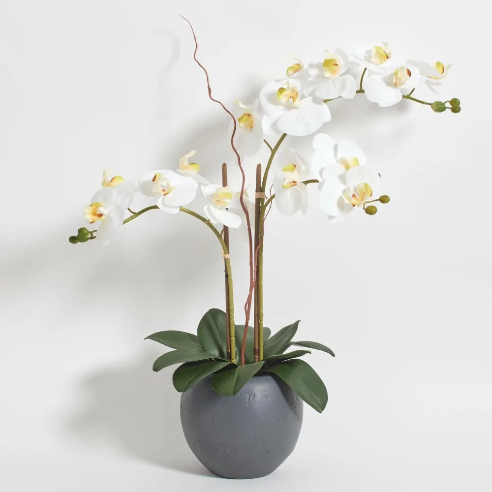 Hunter Faux White Orchid Plant, Premium Artificial Indoor Flower Display Stands 25-Inches with Beautiful Sculptural Blooms
