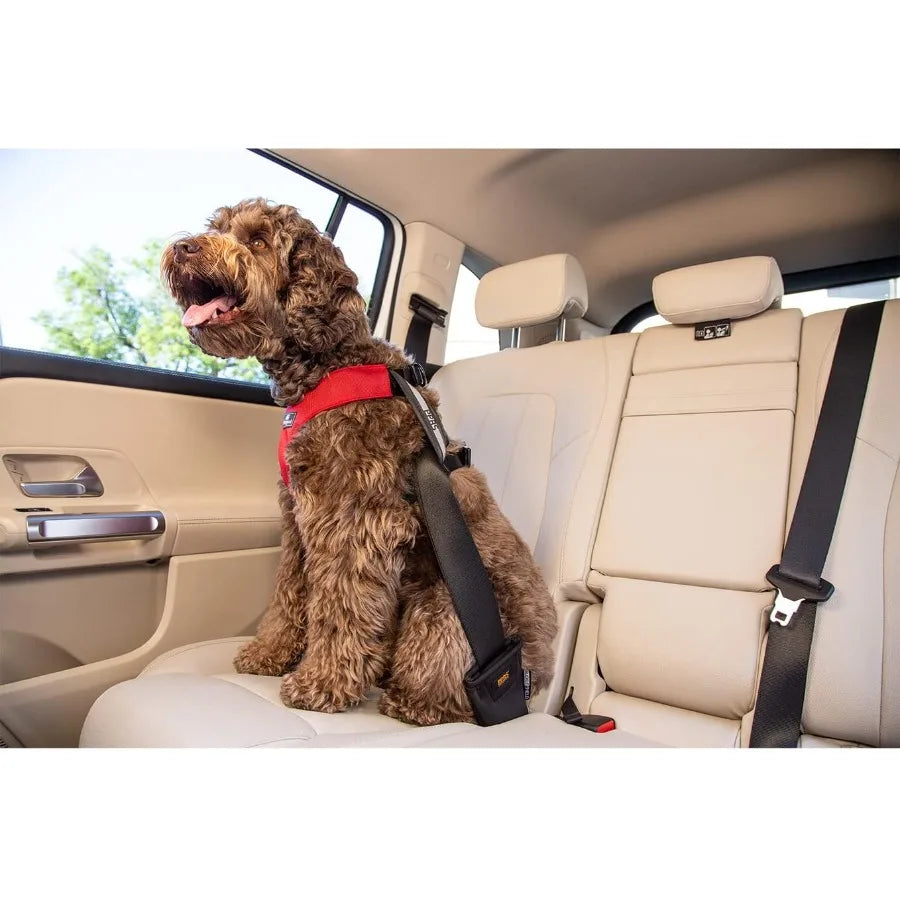 Clickit Sport Plus Crash-Tested and Safety Certified Car Seat Belt Harness for Dogs in Extra Large Size Ideal for Secure Travel