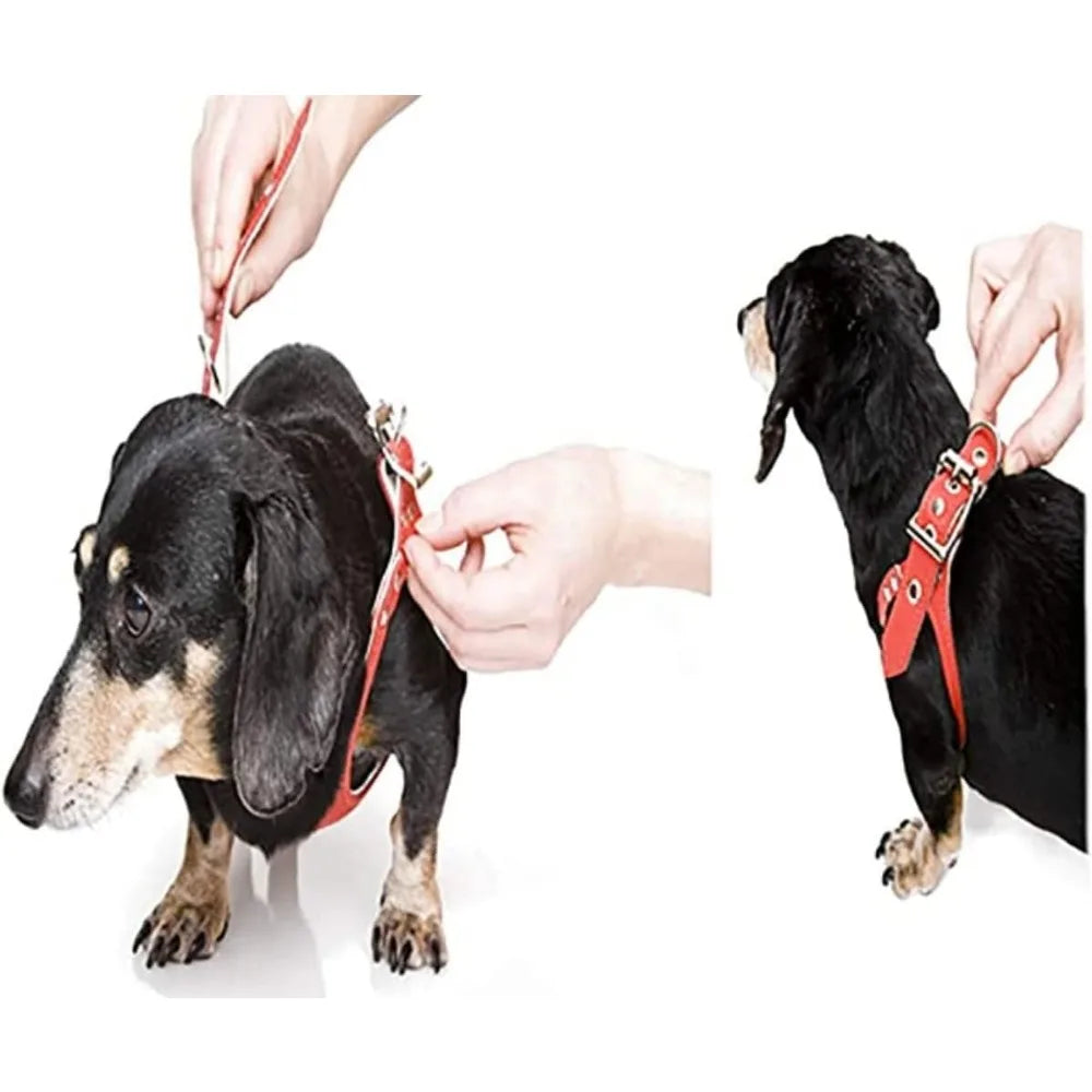 Premium Red Pebble Grain Dog Harness - High-Quality Edition, Comfortable and Durable for Pets