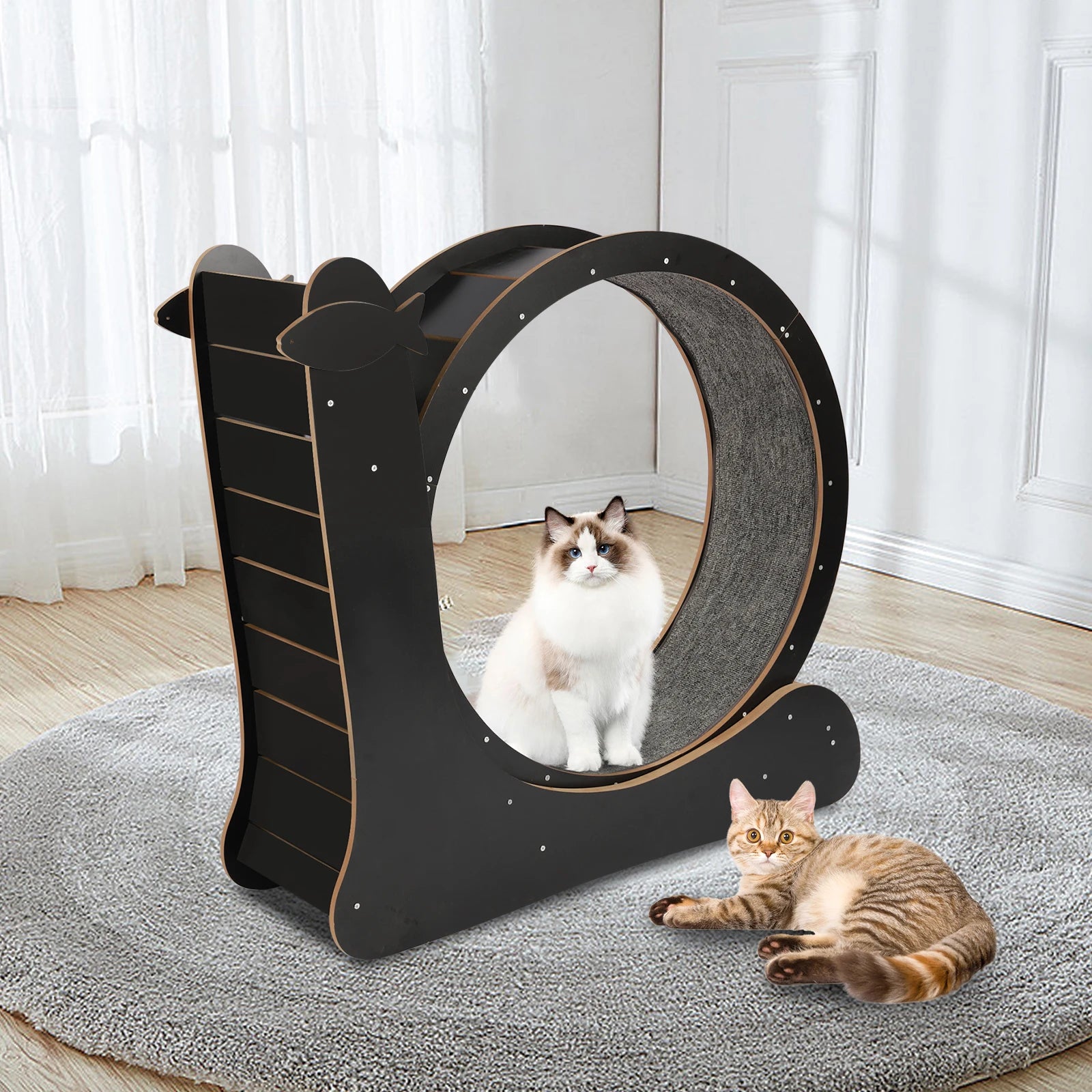 Cat Exercise Treadmill with Carpeted Runway, Safe Lock&Noise Reduction, Snail-Shaped Black Pet Fitness Toy for Cats Up to 33lbs