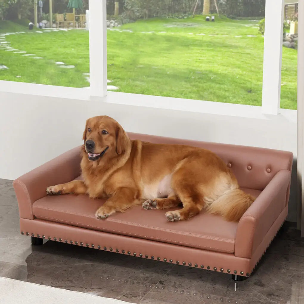 L-XL Luxury Raised Dog Sofa Couch Pet Bed Lounge for Extra Large Dogs with Removable Cushion Cover Pet Furniture
