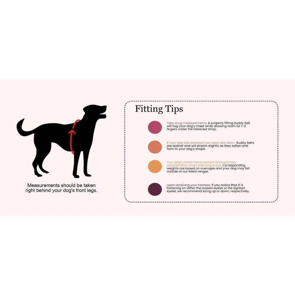 Premium Red Pebble Grain Dog Harness - High-Quality Edition, Comfortable and Durable for Pets