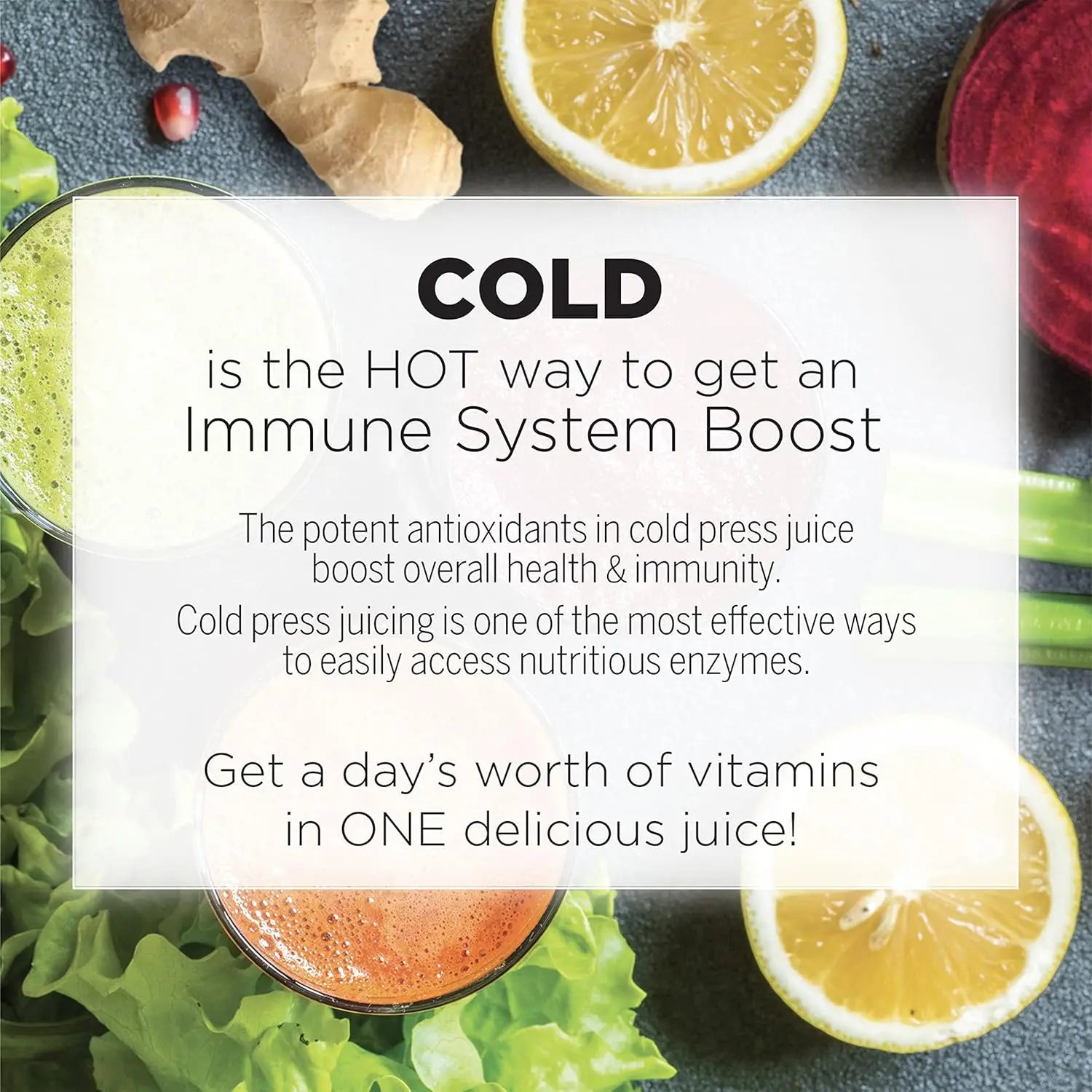 Cold Press Slow Masticating Juicer, Dual-Stage Vegetable Fruit Juice Extractor, 150W Manual Silver