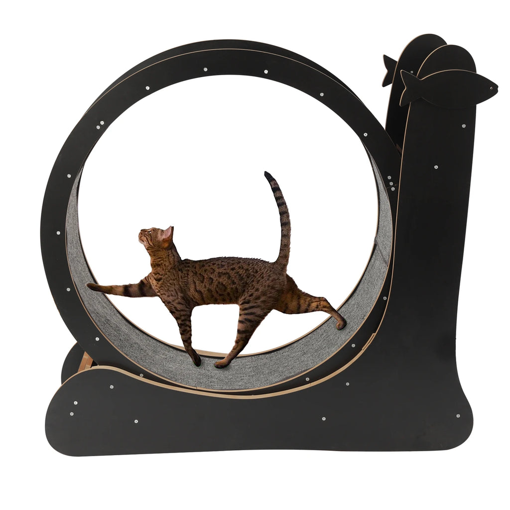 Cat Exercise Treadmill with Carpeted Runway, Safe Lock&Noise Reduction, Snail-Shaped Black Pet Fitness Toy for Cats Up to 33lbs