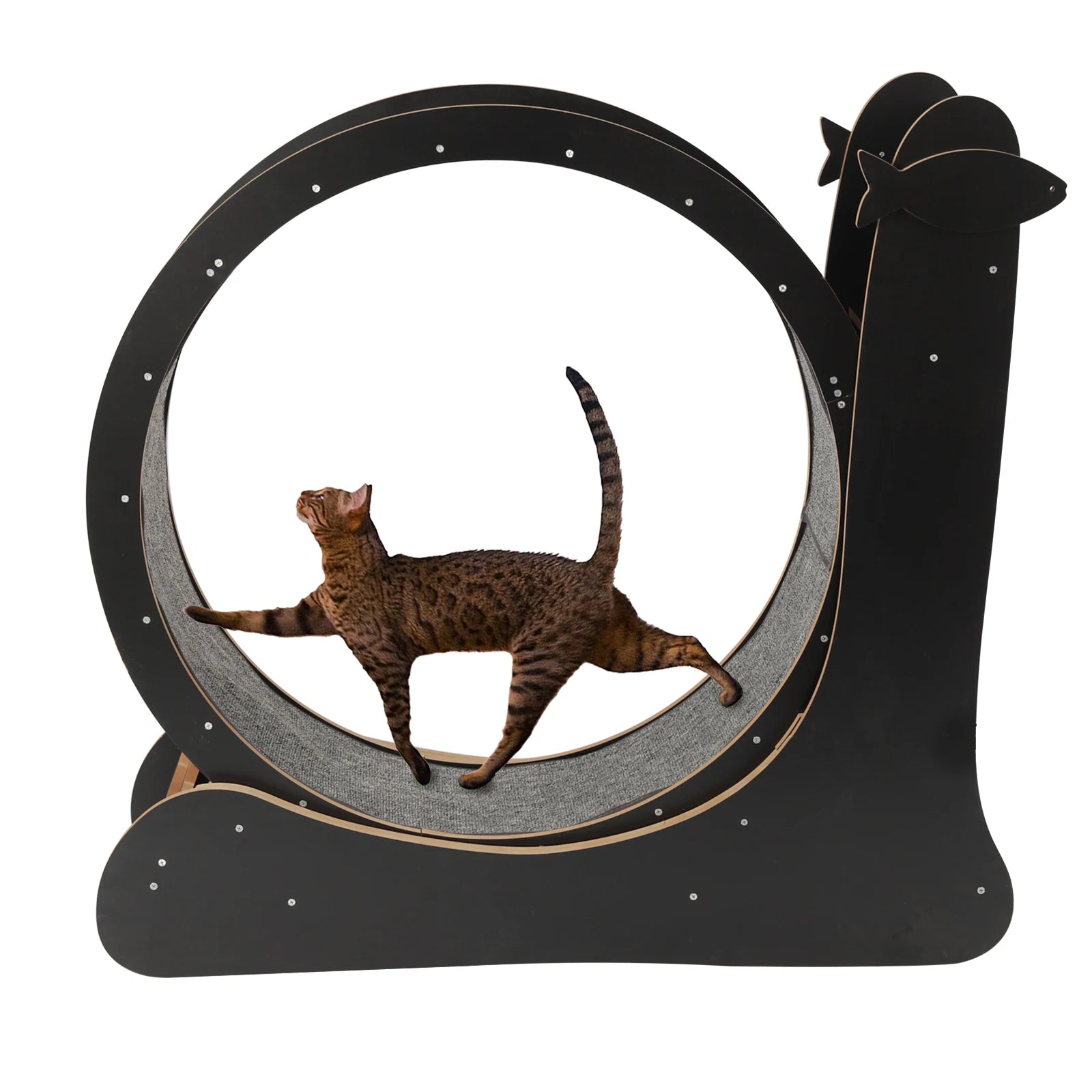 Cat Exercise Treadmill with Carpeted Runway, Safe Lock&Noise Reduction, Snail-Shaped Black Pet Fitness Toy for Cats Up to 33lbs
