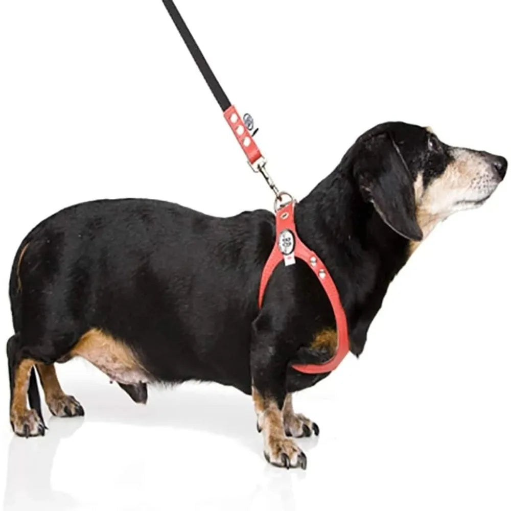 Premium Red Pebble Grain Dog Harness - High-Quality Edition, Comfortable and Durable for Pets