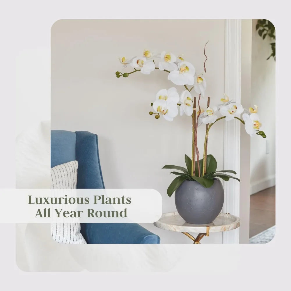 Hunter Faux White Orchid Plant, Premium Artificial Indoor Flower Display Stands 25-Inches with Beautiful Sculptural Blooms