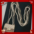 Internet Celebrity Star Same Pearl Bag Letter Crossbody Chain High Sense Long Necklace