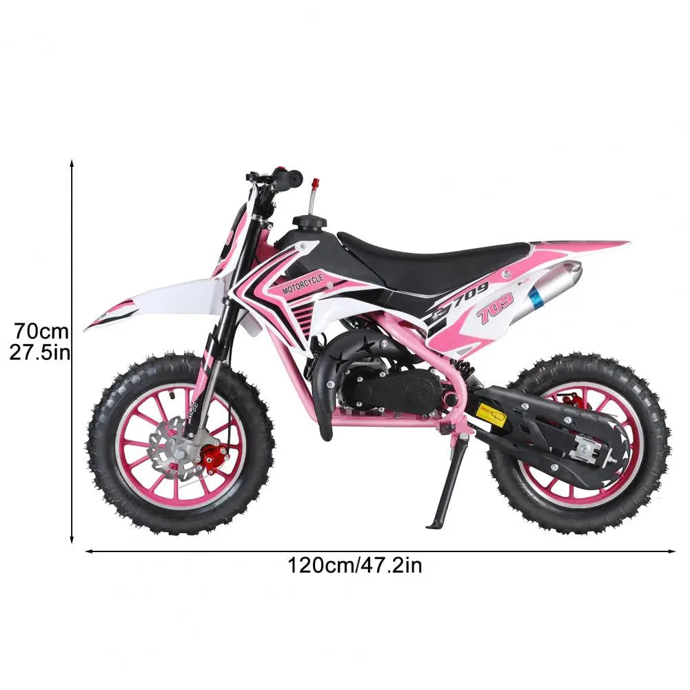 49cc 2-Stroke Kids Dirt Bike Off Road Mini Motorcycle Pocket Motorbike With Front Rear Disc Brakes For Children Gift (Pink)