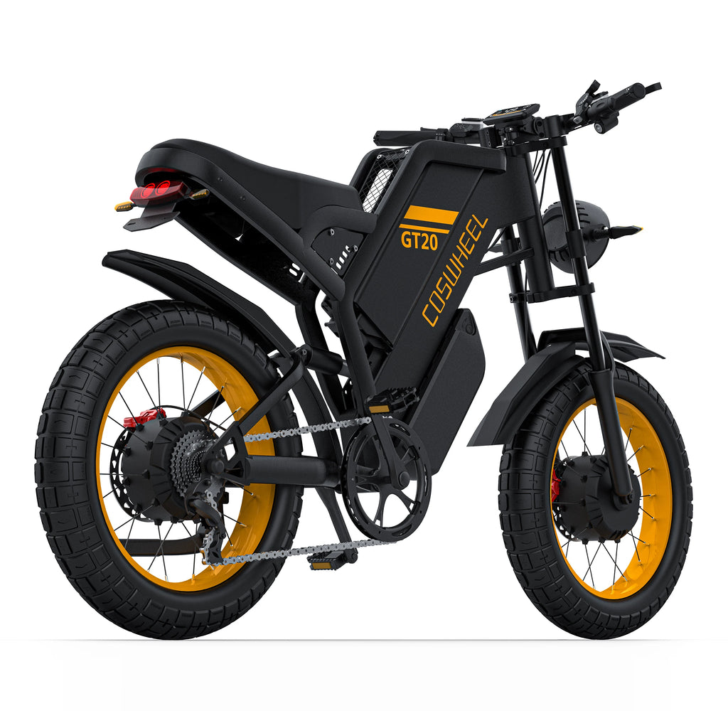 Dual Motor Electric Bike 48v Peak 3000w Motor E Bike Fat Tire Motorcycle Ebike