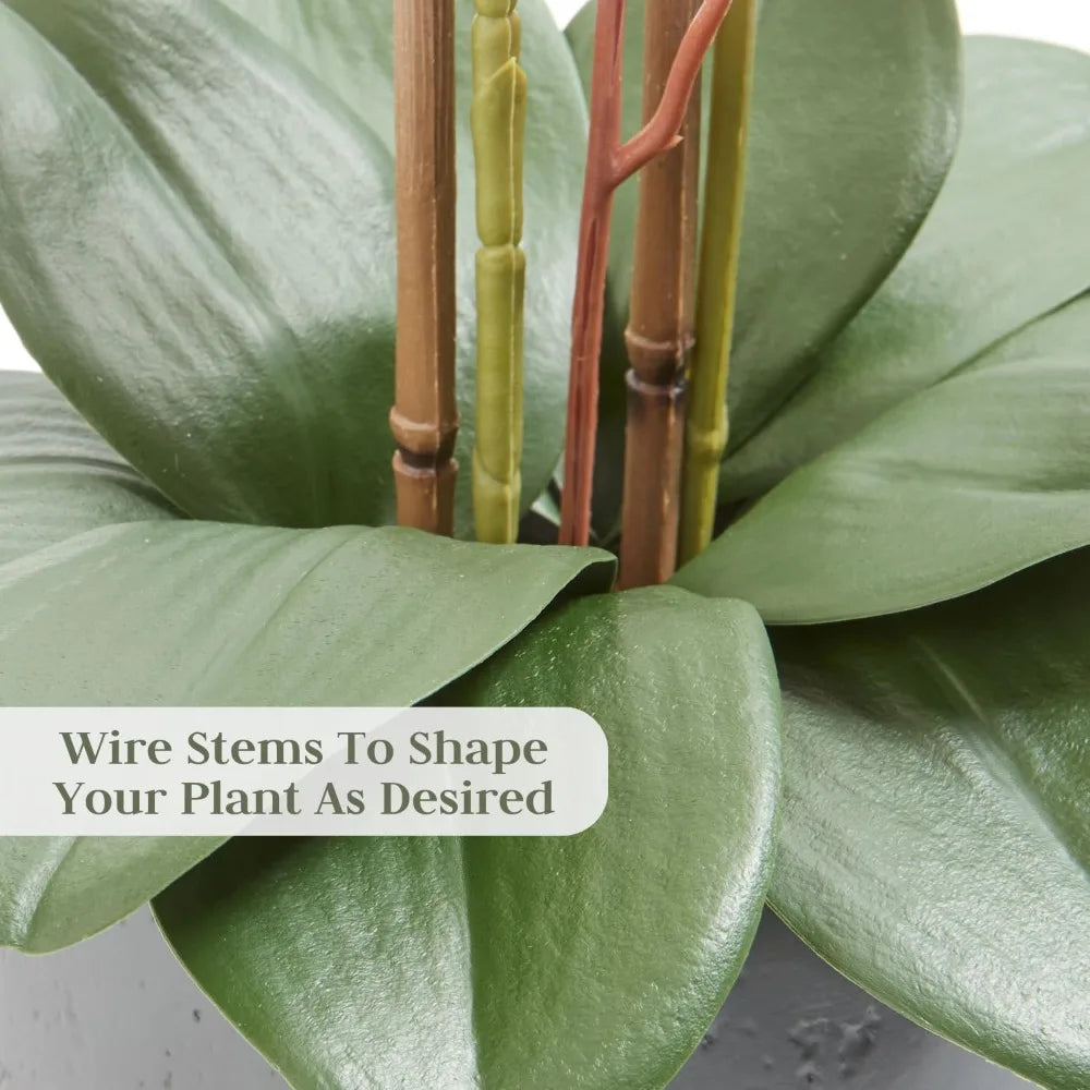 Hunter Faux White Orchid Plant, Premium Artificial Indoor Flower Display Stands 25-Inches with Beautiful Sculptural Blooms