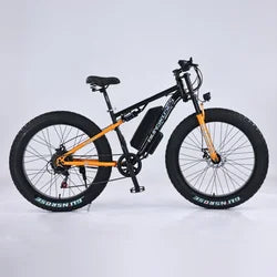 Off Road 29 Inch Large 1000W Dual Motor Electric Mountain Bike Full Suspension E Bike