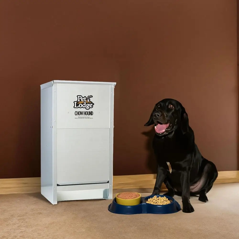 25 Pound Capacity Heavy Gauge Steel Indoor and Outdoor Dry Food Automatic Dog Feeder, Pack of 2, Silver