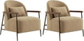 Accent Chair for Living Room Set of 2, FSC Certified Modern Upholstered Faux Sherpa Fabric Armchair with Metal Frame and W