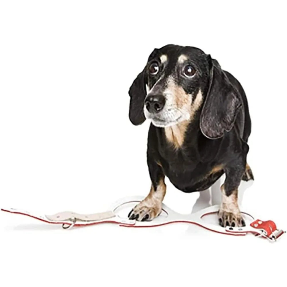 Premium Red Pebble Grain Dog Harness - High-Quality Edition, Comfortable and Durable for Pets