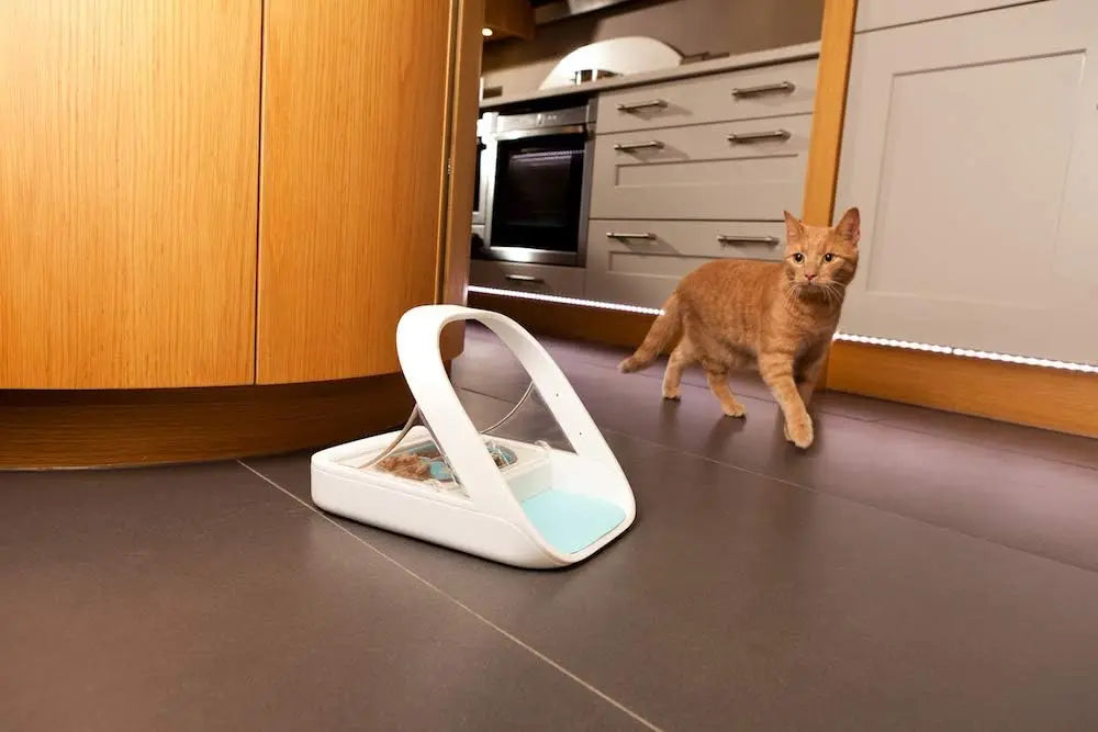 Microchip Pet Feeder for Multi-Pet Homes: Stress-Free Meals with Portion Control, Compatible Wet/Dry Food