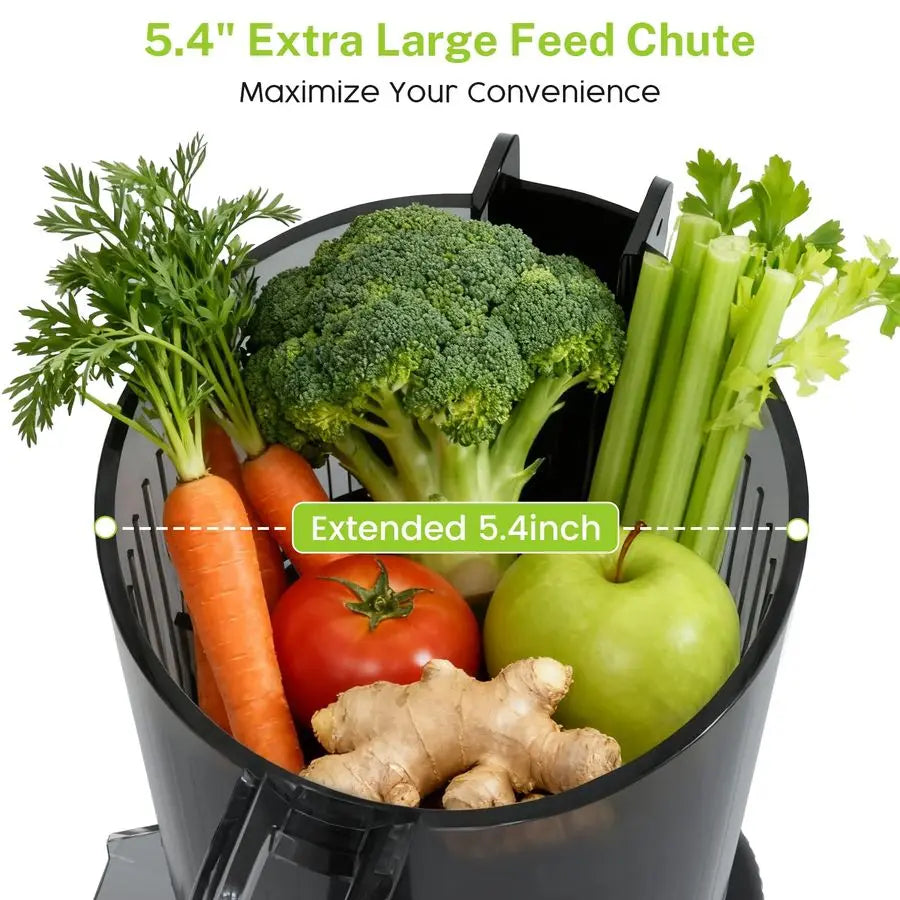 Juicer Machines with 5.4 Large Feed Chute, Cold Press Juicer for Whole Vegetables and Fruits, Stainless Steel Slow Masticating J