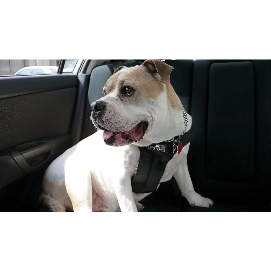 Clickit Sport Plus Crash-Tested and Safety Certified Car Seat Belt Harness for Dogs in Extra Large Size Ideal for Secure Travel