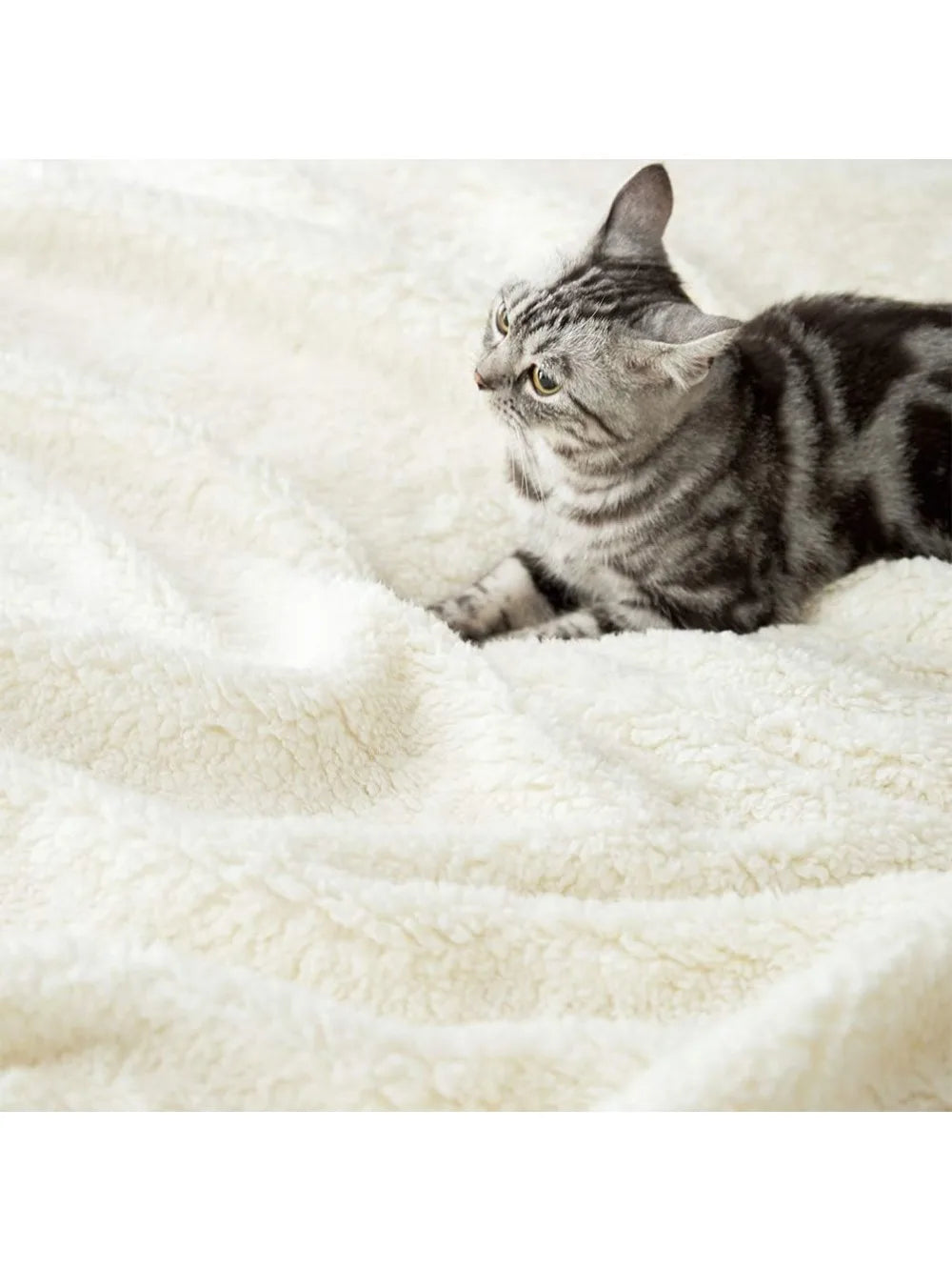 Queen Sherpa Fleece Blanket – Super Soft, Reversible Plush Throw for Bed or Couch