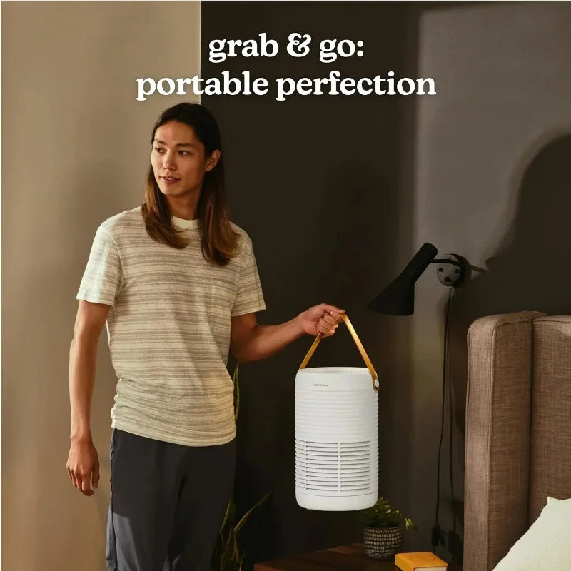 Homedics 3-1 Air Purifier, 975 Sq. ft of Coverage/Hour.True HEPA Filtration,Activated Carbon Odor Filter,Pre-filter,Medium Rooms