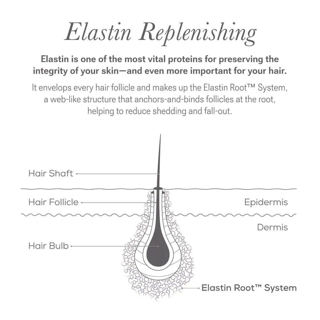 Eyebrow Serum for Fuller Brows - Shape & Define with Hair-Strengthening Ingredients (0.1 Fl Oz)